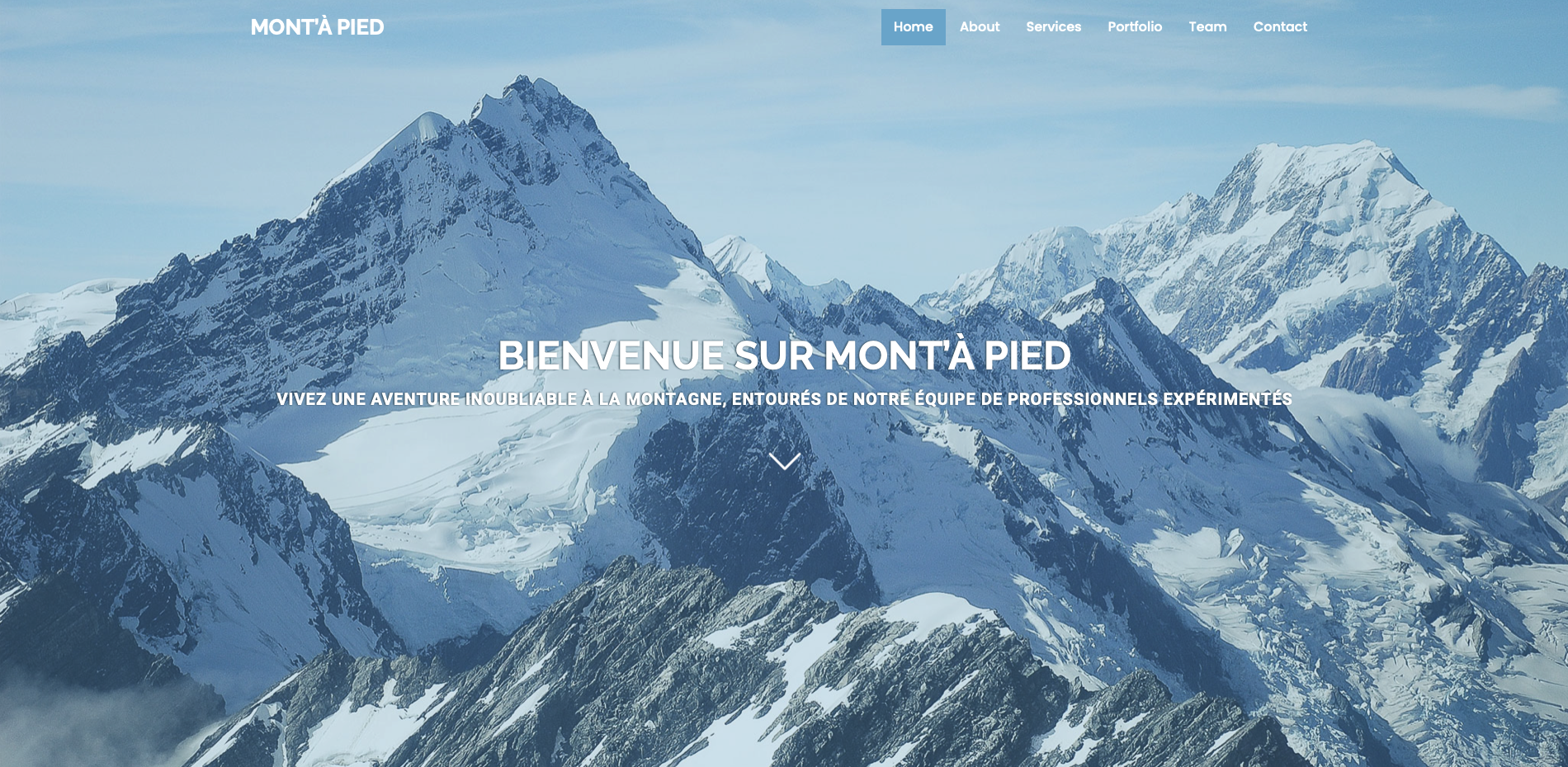 Projet 1